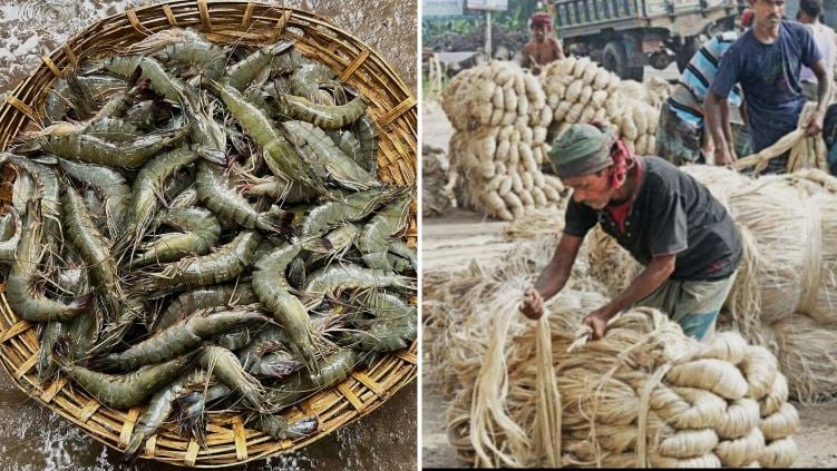 Khulna region earns Tk 4,886 crore from exports in FY2025-26: EPB