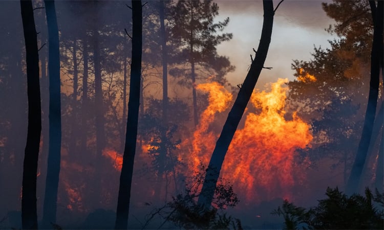 Winds hamper firefighting efforts as blazes rage near Madrid
