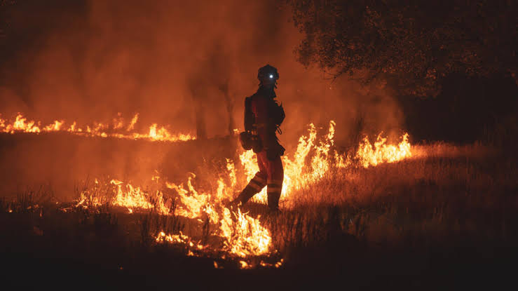 Firefighters race to stop wildfires merging near Madrid