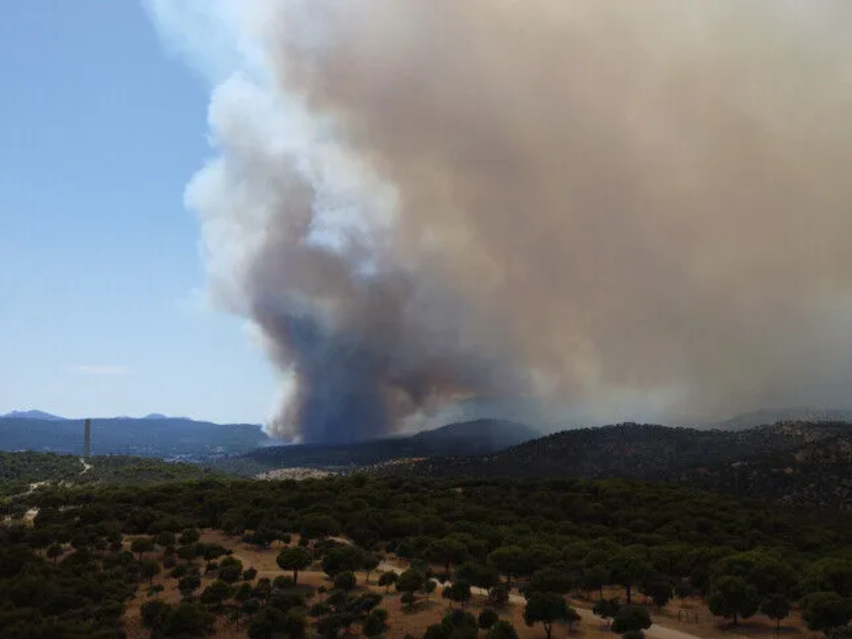 Spain official warns winds could worsen fire