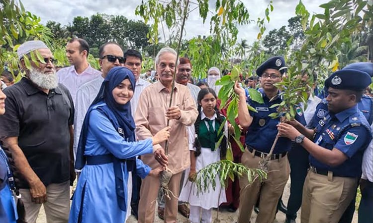 Culture minister inaugurates tree plantation programme in Magura