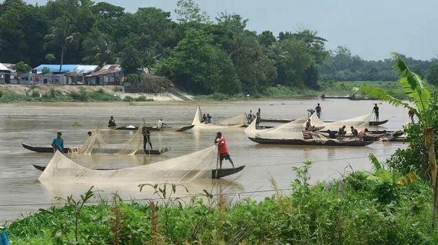 6,300 metres of illegal nets seized from Halda River
