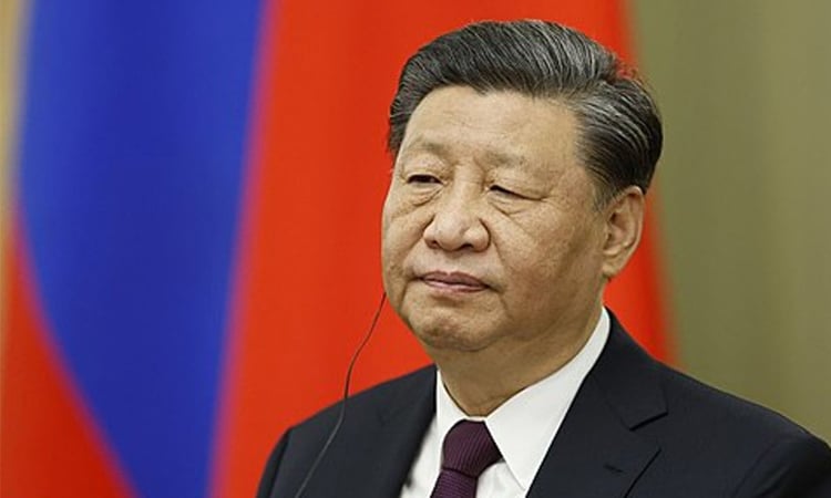 China supports Brazil in opposing 'interference': Xi to Lula
