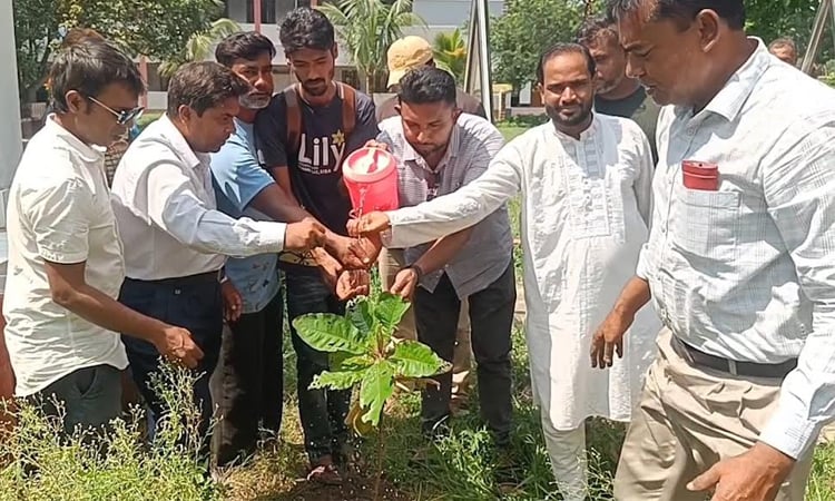 Fruit, forest tree saplings distributed among students in Rajshahi