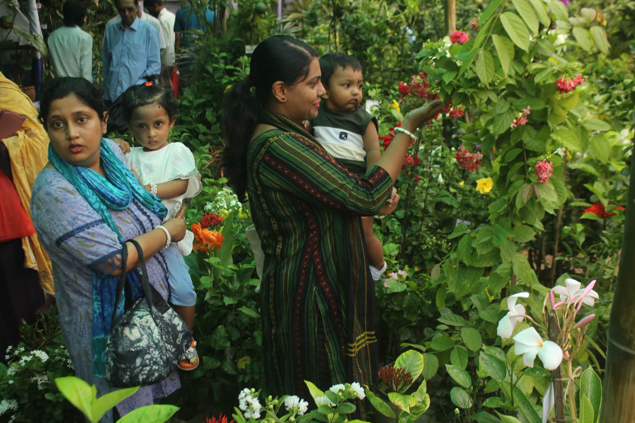 Tree fair gains momentum in Khulna