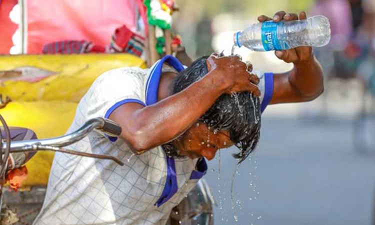 Extreme heat puts South Asia's jobs, growth at risk: WB