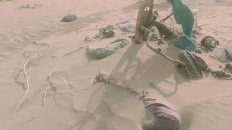 Fourteen Afghan migrants found dead in desert