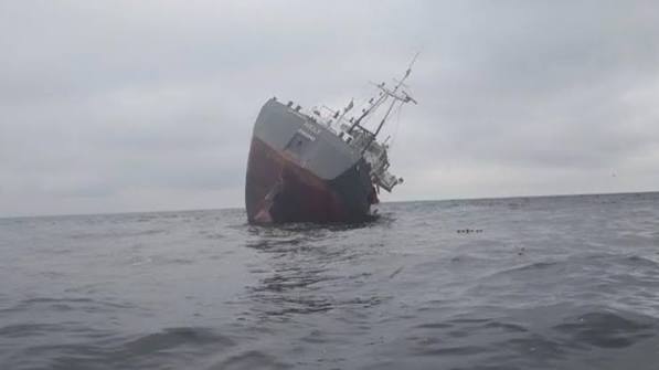 Ukraine sinks Russian-owned container ship in Black Sea: company