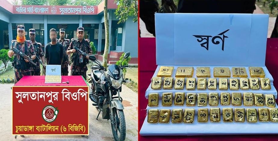 Gold worth Tk 13.33 crore seized, suspected smuggler arrested at Chuadanga border