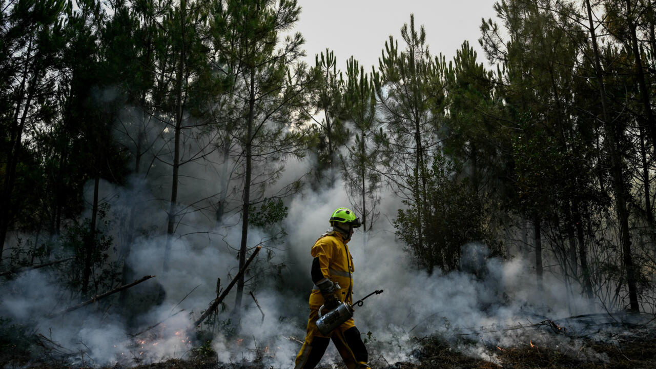 France's devastating fires now 'under control', says PM