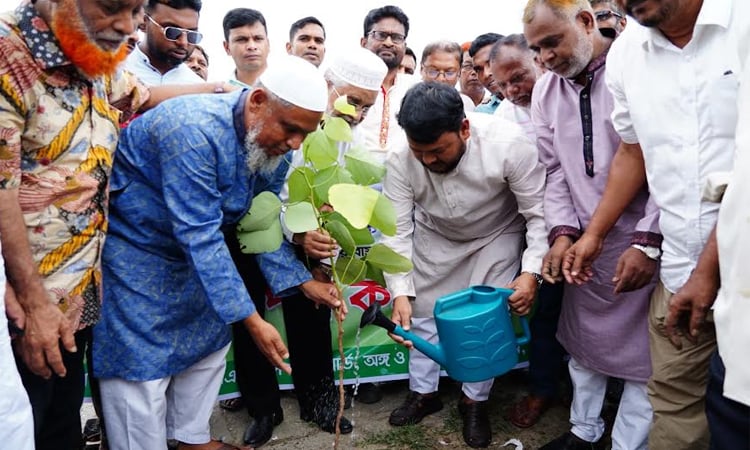 Boalia Thana (East) BNP inaugurates tree plantation program in Rajshahi
