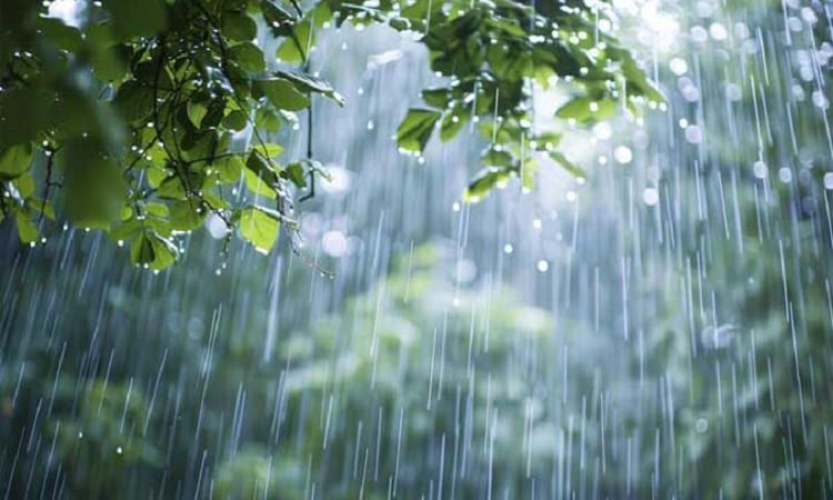 Light to moderate rain likely across country