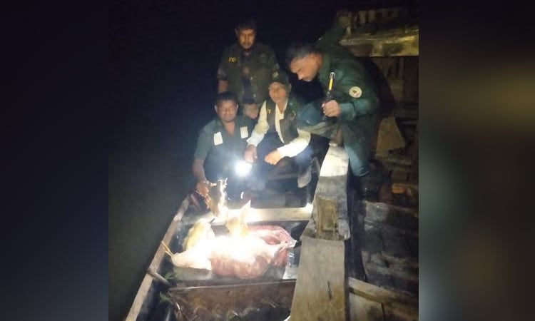 Forest officials seize 70kg venison, hunting gear in Sundarbans drive