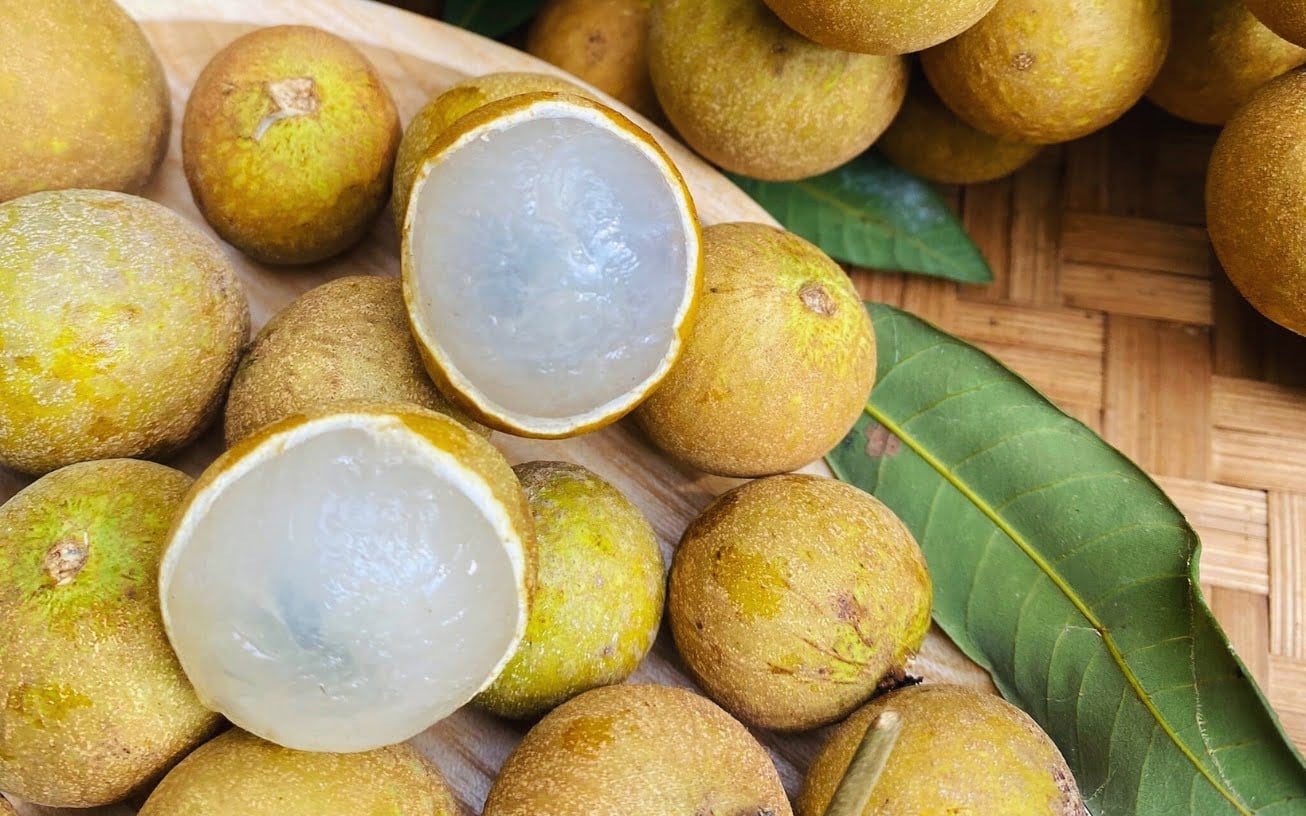 Vietnamese longan cultivation brings success to Khagrachhari young entrepreneur