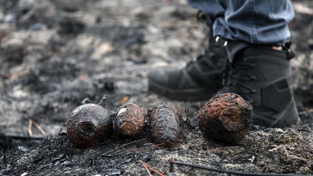 WWII shells surface in wildfire-ravaged French village