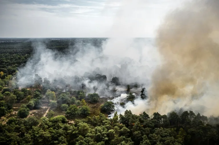 Forest fire spreads in Dutch nature reserve