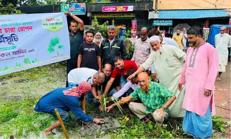 Initiative launched to plant 2,300 palm trees in Ctg to curb lightning