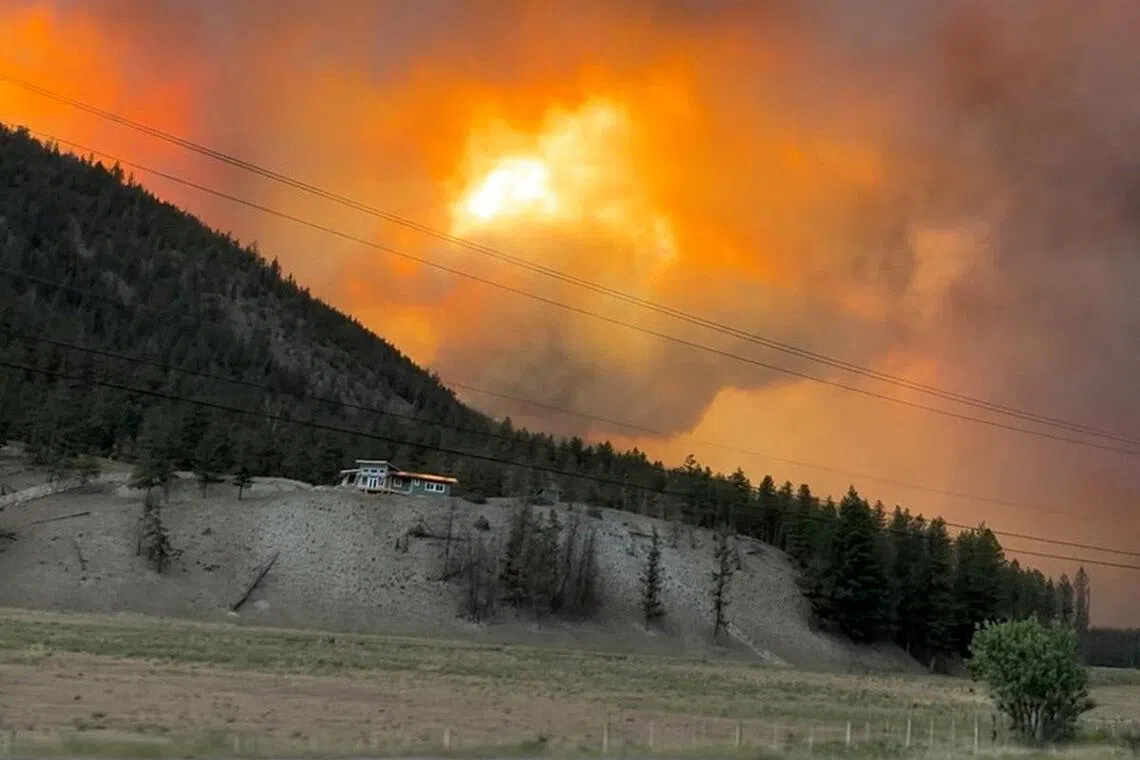 Climate change made Canadian wildfires twice as likely: study