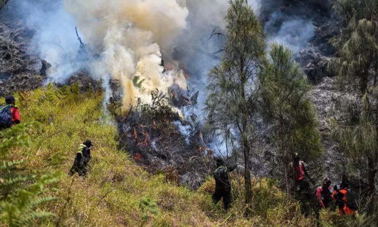 Indonesia battles Mount Bromo wildfire as El Nino takes root