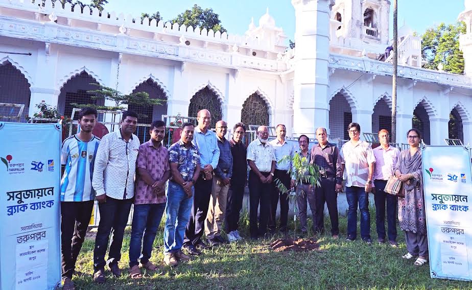 550 rare, endangered trees planted at Carmichael College campus