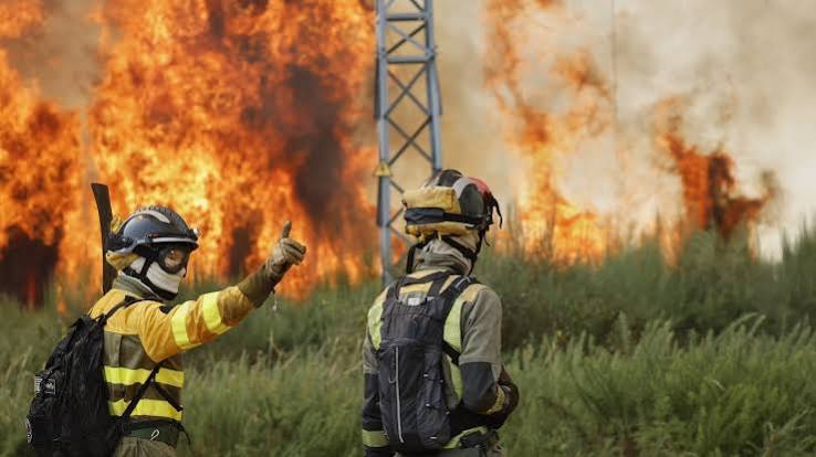 Spain deploys 275 firefighters to tackle Andalusia forest blaze