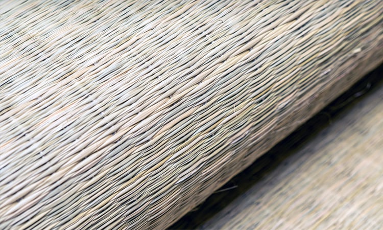 Traditional Madur or Mat-weaving industry now facing extinction 