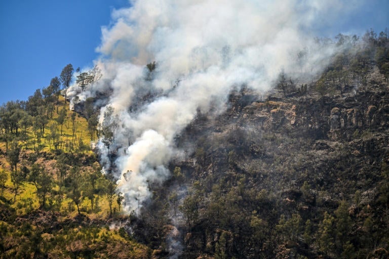 Eighth day of wildfires in Indonesian national park