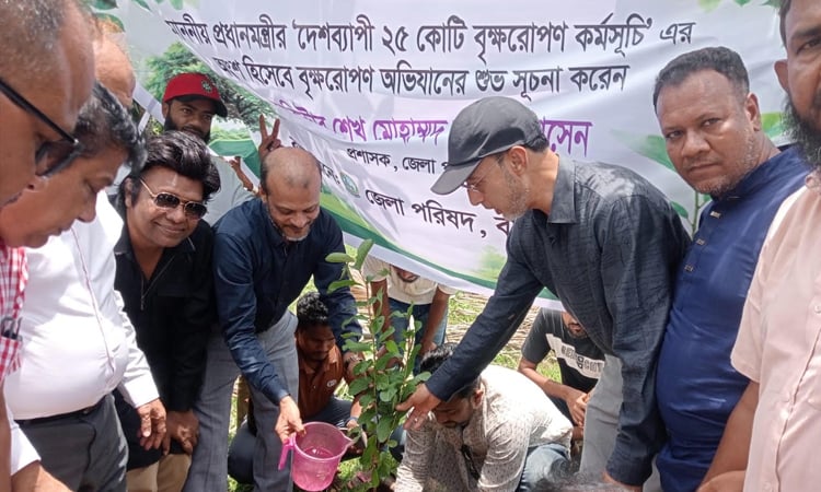 Tree plantation drive launched in Kachua