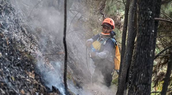 Schools closed as Indonesia battles wildfires