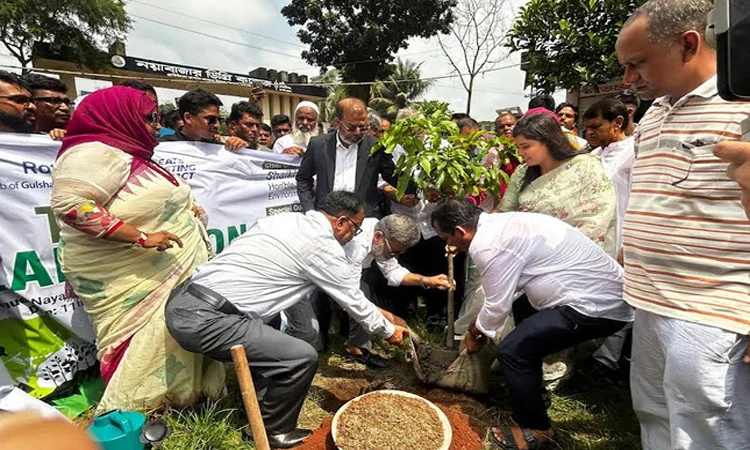 Govt aims to save 25cr trees to face climate change impacts: Faridul