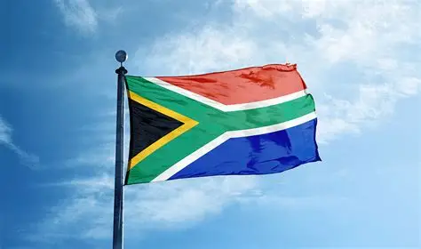 14 clandestine miners killed in disused S.Africa mine