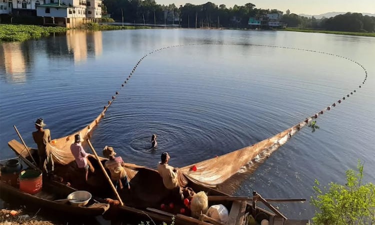 Fishing resumes in Kaptai Lake after 105-day ban
