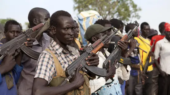 Attackers kill 60 people in S.Sudan cattle raid: local official