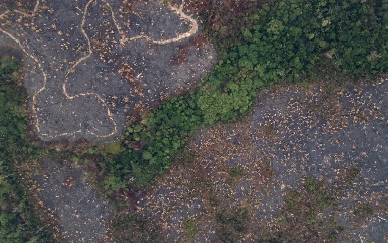 Brazil's natural areas shrink, worsening El Nino impact