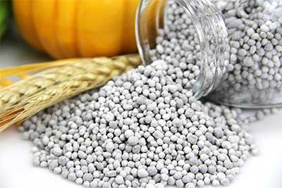 Govt to procure 110,000 tonnes of fertilizer 
