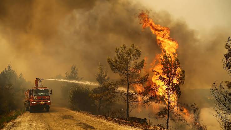 Croatian wildfires destroy homes and cars, hundreds forced to flee