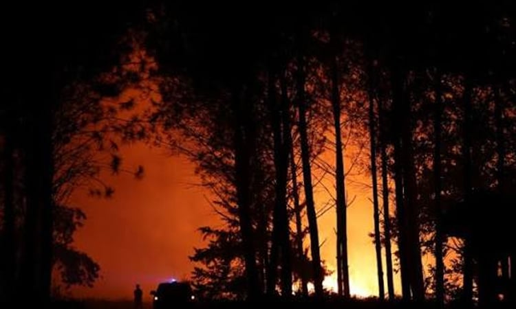 Europe wildfires: latest developments