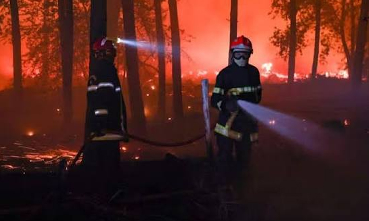 Body found in wake of Croatian wildfire: police