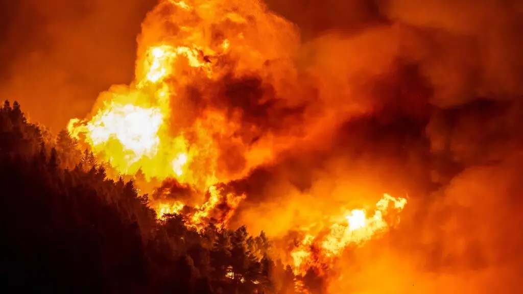 Body found after wildfire hits Croatian coastal town