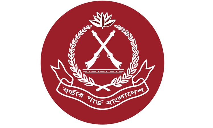 BGB seizes 66 Indian yaba tablets in Thakurgaon