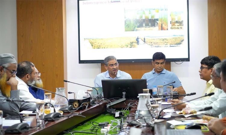 Vetiver grass can be effective solution to prevent river, soil erosion: Anne 