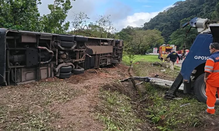Bus accident kills at least eight in Brazil