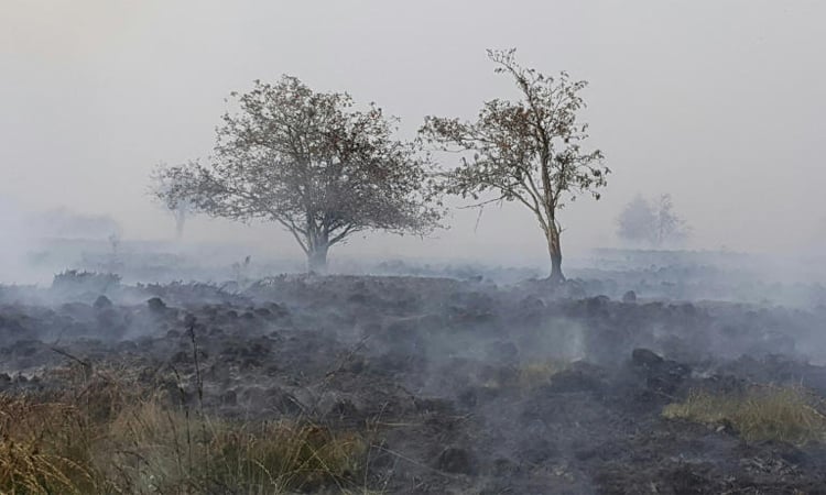 Belgium races to tame huge wildfire creeping towards Germany