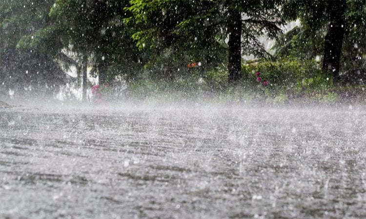 Met office predicts rain in parts of country  