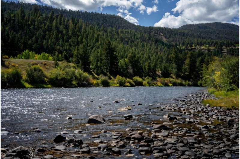 US moves to open vast tracts of pristine forests to logging