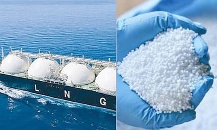 CCEA approves 14 LNG cargoes, fertiliser deal 