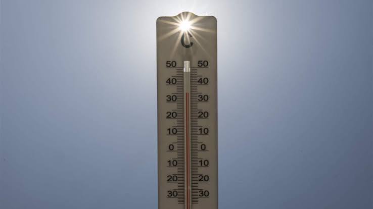 France had 1,243 excess deaths during July heatwave: health authority