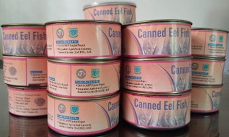 Canning technology opens new export prospects for kuchia fish