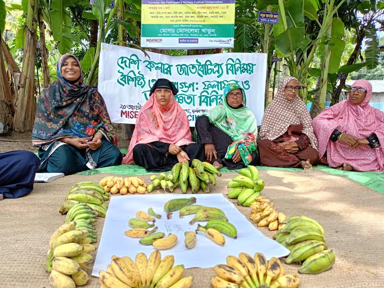 Farmer leadership contributes to expanding local banana varietal diversity in Barind