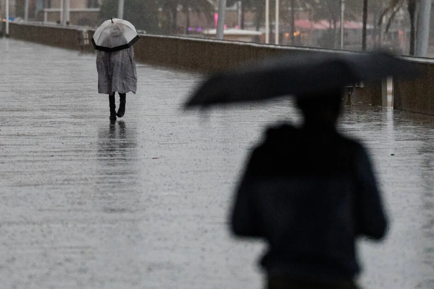 Seven injured as heavy rains lash northeast Spain